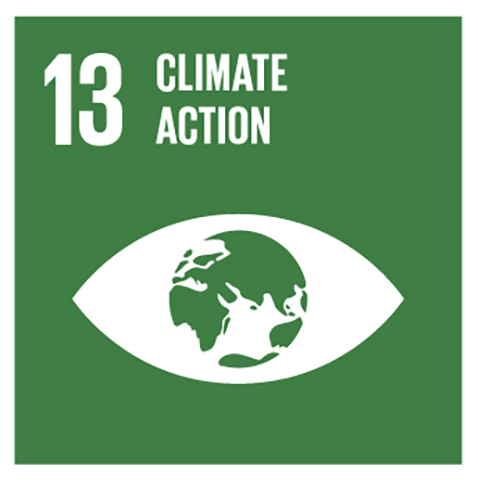 SDG 13