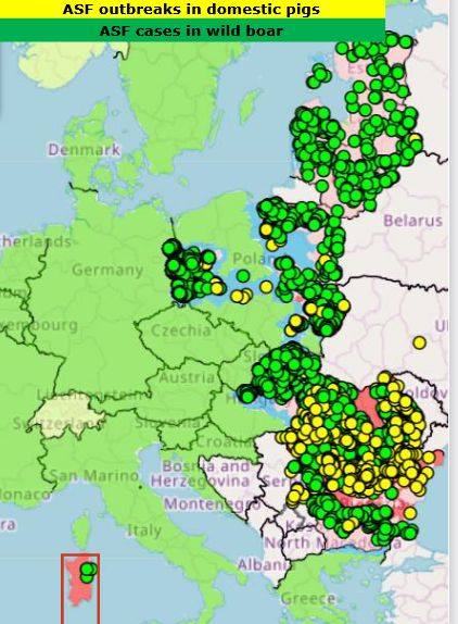 Screenshot 2022-03-04 at 12-09-03 African swine fever situation in Europe-Presentation-AGRI Meeting 2021 09 01 - ASF EU upd[...]_1